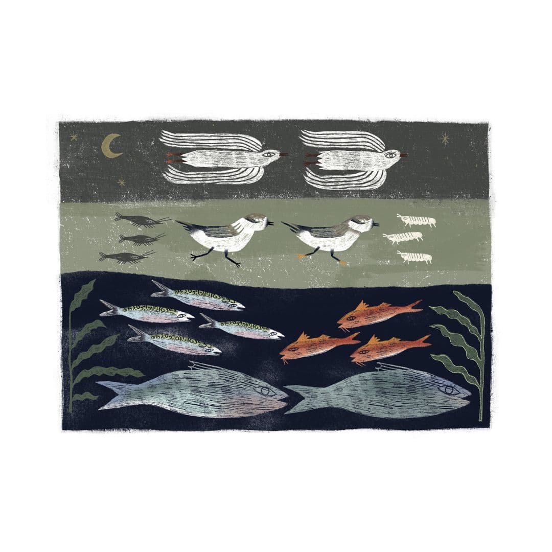 Visuel de l’œuvre Cycle marin